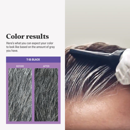 Just For Men Touch of Gray Haircolor, Gray Men's Hair Color - T-55 Black, (Pack of 3)