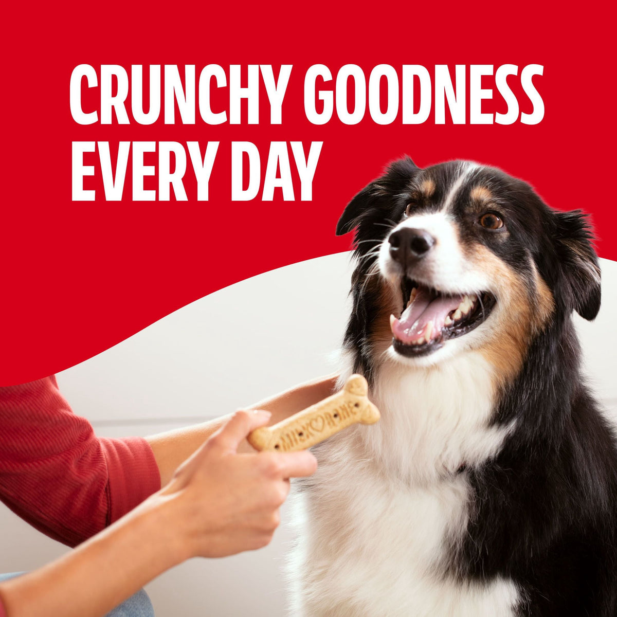 (2 pack) Milk Bone Crunchy Large Dog Treats, 10 Lb. Box, Original Beef Flavor