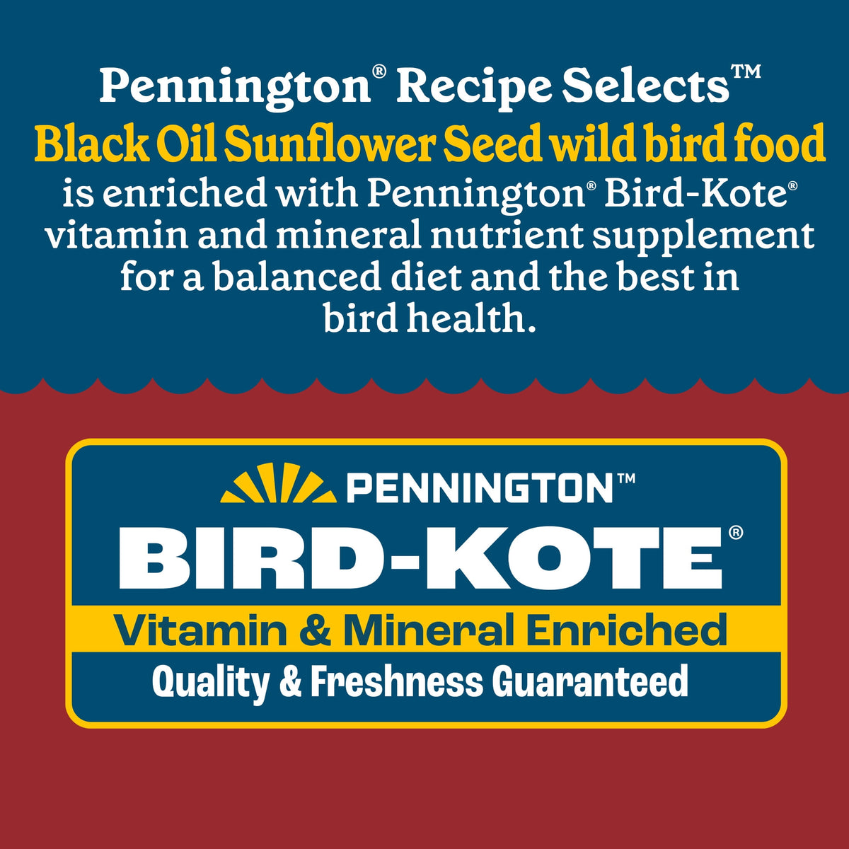Pennington Recipe Selects Black Oil Sunflower Seed Dry Wild Bird Feed, Bird Food, 40 lb. Bag, 1 Pack