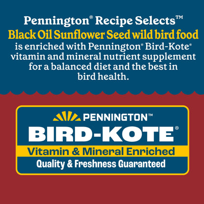 Pennington Recipe Selects Black Oil Sunflower Seed Dry Wild Bird Feed, Bird Food, 40 lb. Bag, 1 Pack