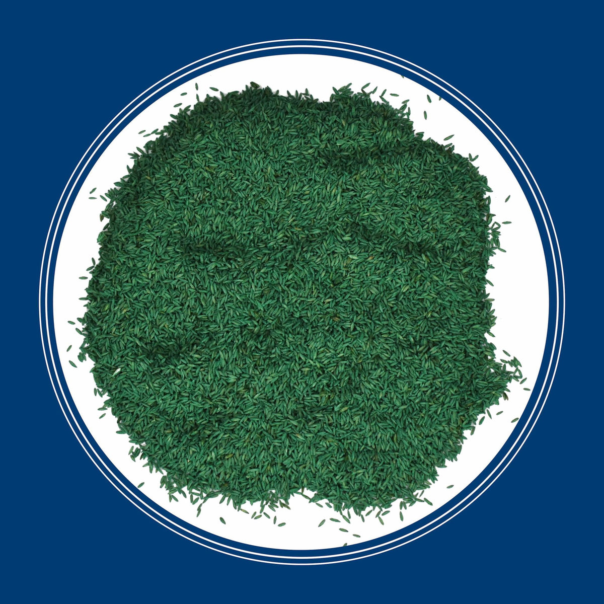 (2 pack) Pennington Kentucky Bluegrass Northern Grass Seed Mix for Sun to Partial Shade, 3 lb