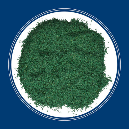 (2 pack) Pennington Kentucky Bluegrass Northern Grass Seed Mix for Sun to Partial Shade, 3 lb