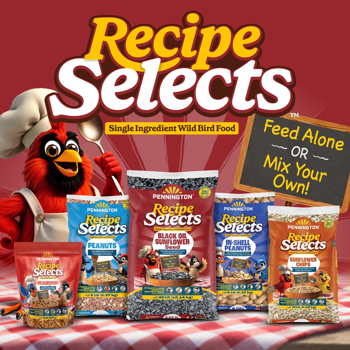 Pennington Recipe Selects Black Oil Sunflower Seed Dry Wild Bird Feed, Bird Food, 40 lb. Bag, 1 Pack