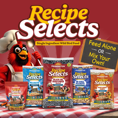 Pennington Recipe Selects Black Oil Sunflower Seed Dry Wild Bird Feed, Bird Food, 40 lb. Bag, 1 Pack