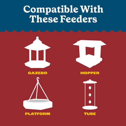 Pennington Recipe Selects Black Oil Sunflower Seed Dry Wild Bird Feed, Bird Food, 40 lb. Bag, 1 Pack