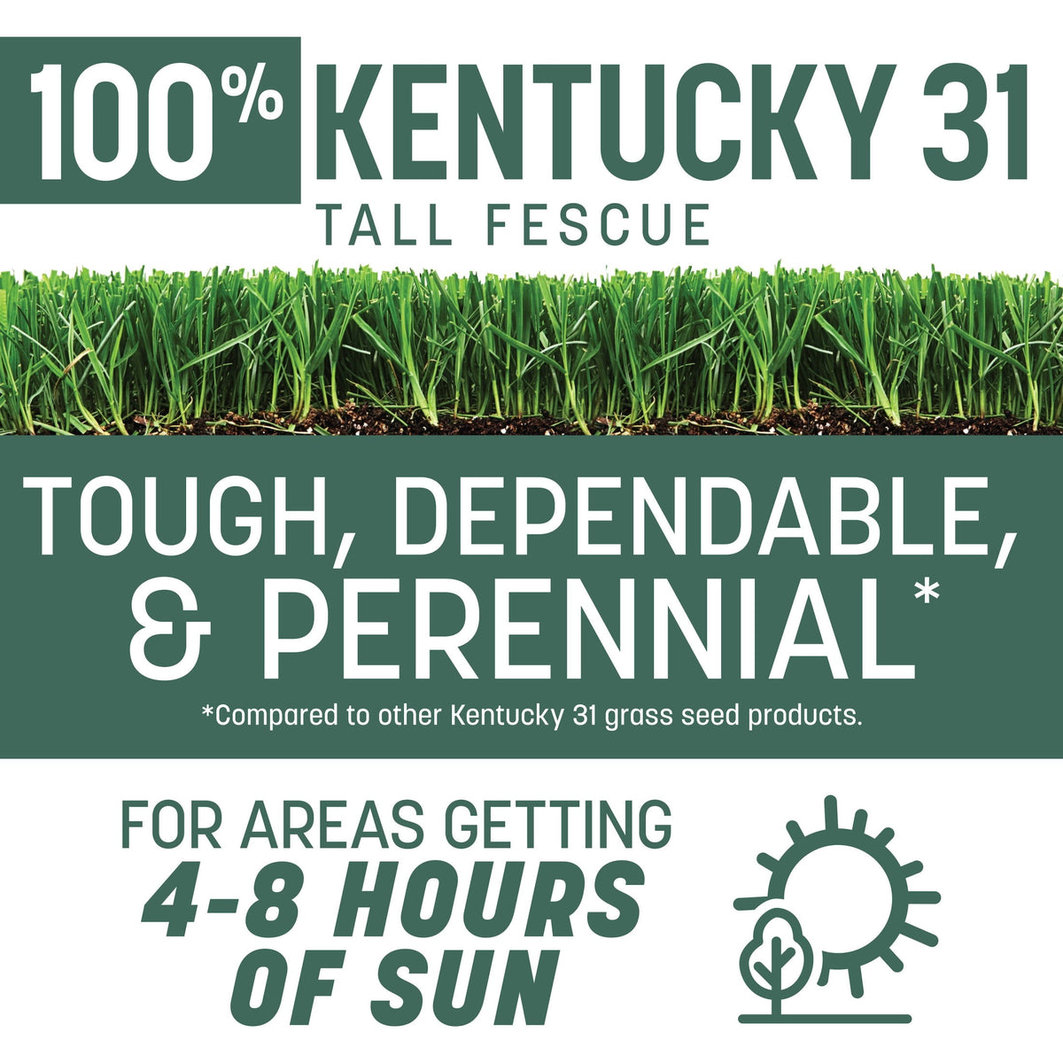 Pennington Kentucky 31 Tall Fescue Grass Seeds for Lawn, for Sun to Partial Shade, 20 lb
