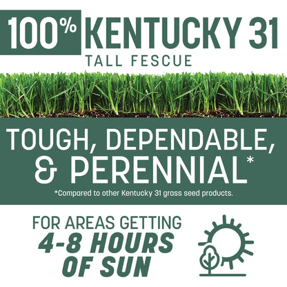 Pennington Kentucky 31 Tall Fescue Grass Seeds for Lawn, for Sun to Partial Shade, 20 lb