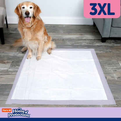 Hartz Home Protection Super Absorbent Odor Eliminating Lavender Scented No Leaks Dog Pads, 3XL, 30ct