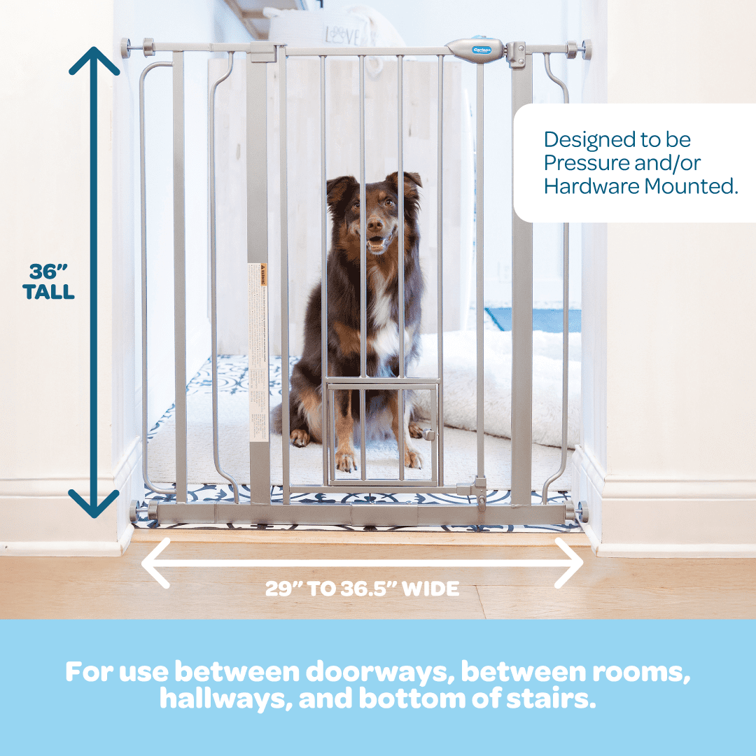 Carlson Extra Tall Walk-Through Pet Gate, Platinum, 36" H x 29"-36.5" L, with 4-inch Extension, Includes Pressure and Wall Mount Kits
