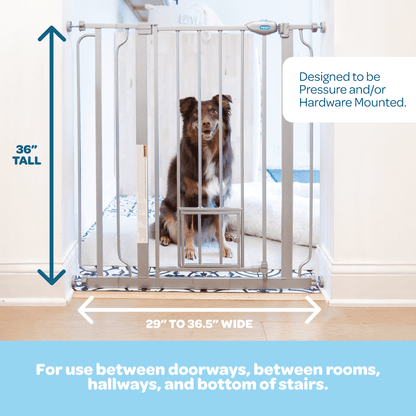 Carlson Extra Tall Walk-Through Pet Gate, Platinum, 36" H x 29"-36.5" L, with 4-inch Extension, Includes Pressure and Wall Mount Kits