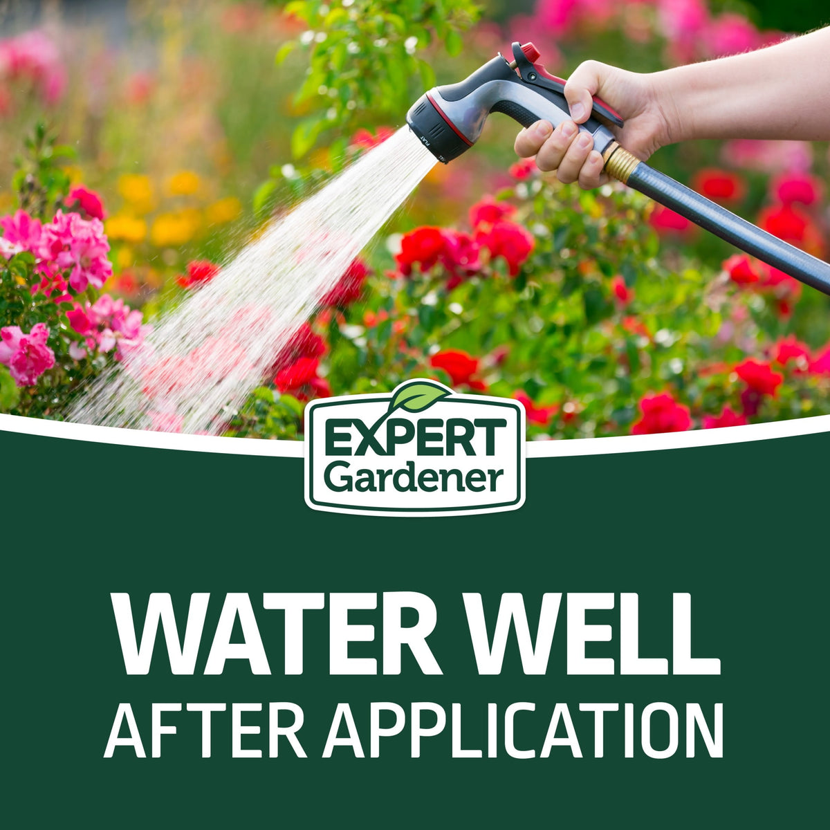 (2 pack) Expert Gardener All Purpose Plant Fertilizer, 10-10-10, 40 lb Bag