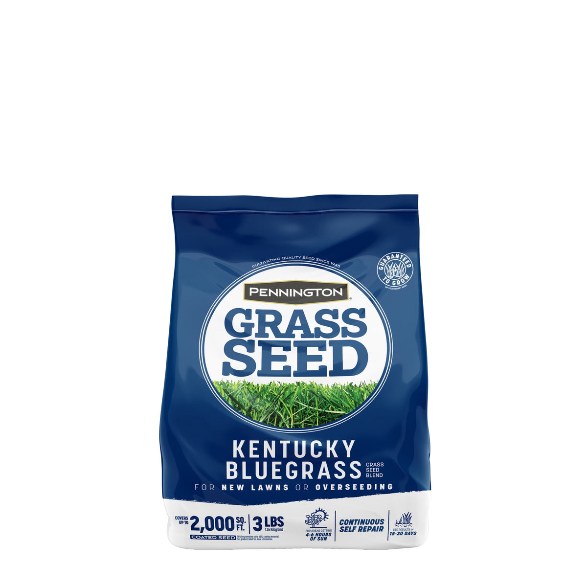 (2 pack) Pennington Kentucky Bluegrass Northern Grass Seed Mix for Sun to Partial Shade, 3 lb
