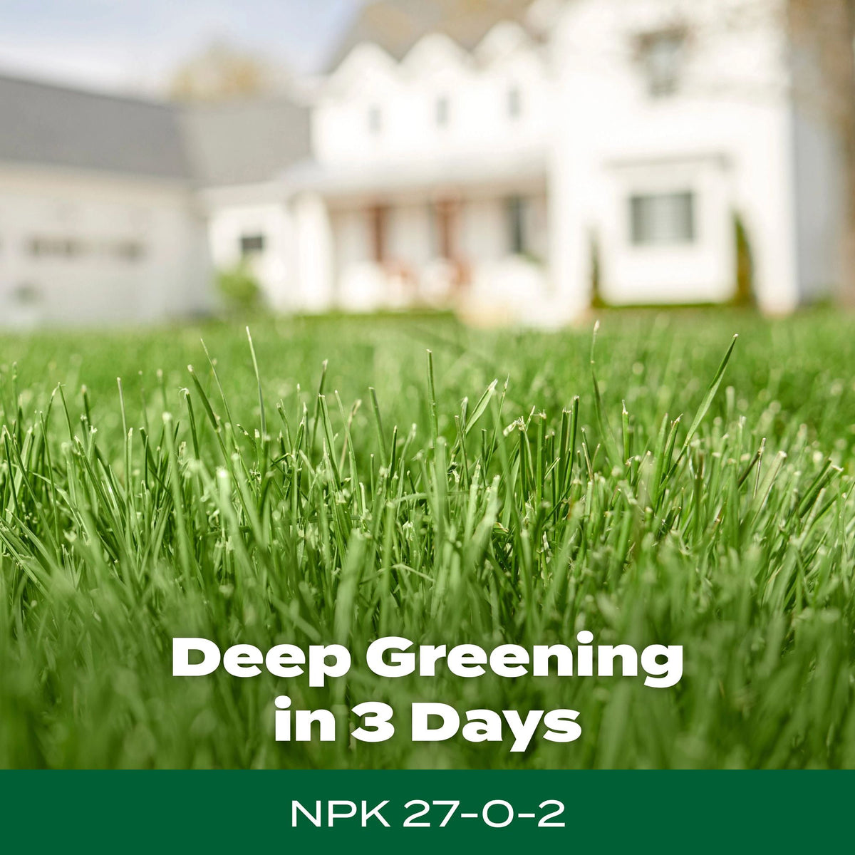 Scotts Green Max Lawn Food, Fertilizer Plus Iron Supplement, 5,000 sq. ft., 16.67 lbs.