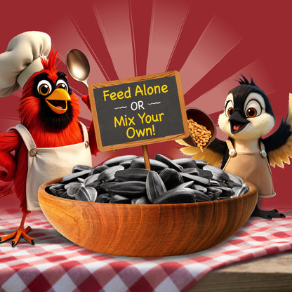 Pennington Recipe Selects Black Oil Sunflower Seed Dry Wild Bird Feed, Bird Food, 40 lb. Bag, 1 Pack